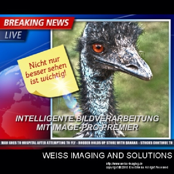 Premier_TitelEW-20150610