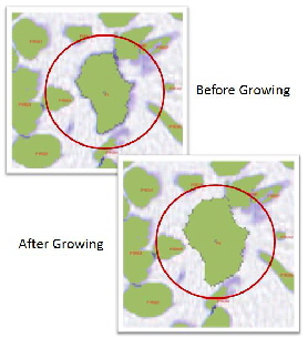 GrowShrink