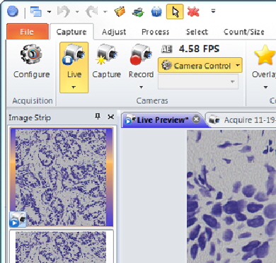 LivePreviewVisualIndicator-338x333