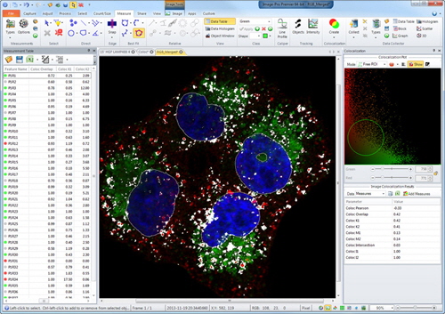 colocalization-500x353