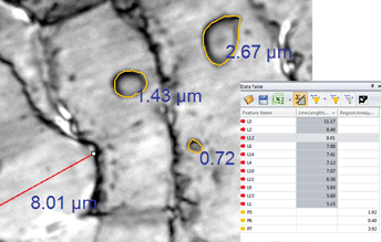 IPI_Measure_datatable
