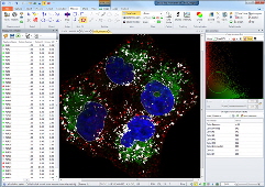 colocalization-500x353