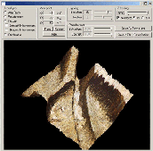 Texture_Mapping_3DSurf_View_375[1]
